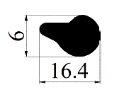 06806
